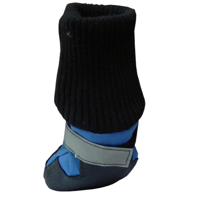 Botas para perros HDP