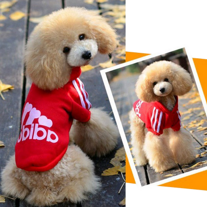Zehui Suéter para perro y gato, camiseta para cachorros, sudaderas cálidas, abrigos, ropa y accesorios